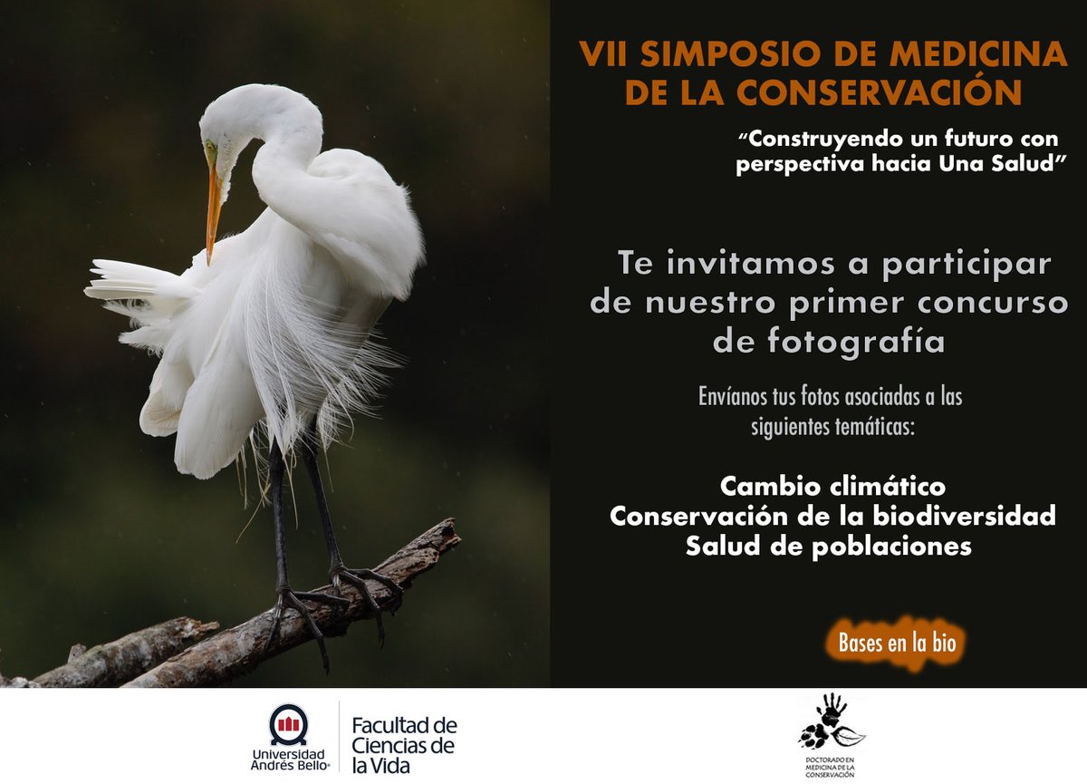 SimposioMdC's tweet photo. RECUERDA ENVIAR TUS FOTOS ANTES DEL 15 DE SEPTIEMBRE, BASES EN EL SIGUIENTE LINK: https://t.co/KPctnHJ1UF https://t.co/w63COP116f