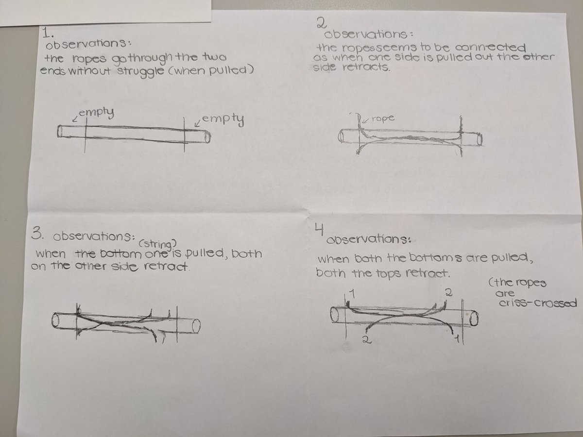 Brittany Schwartz tweet media