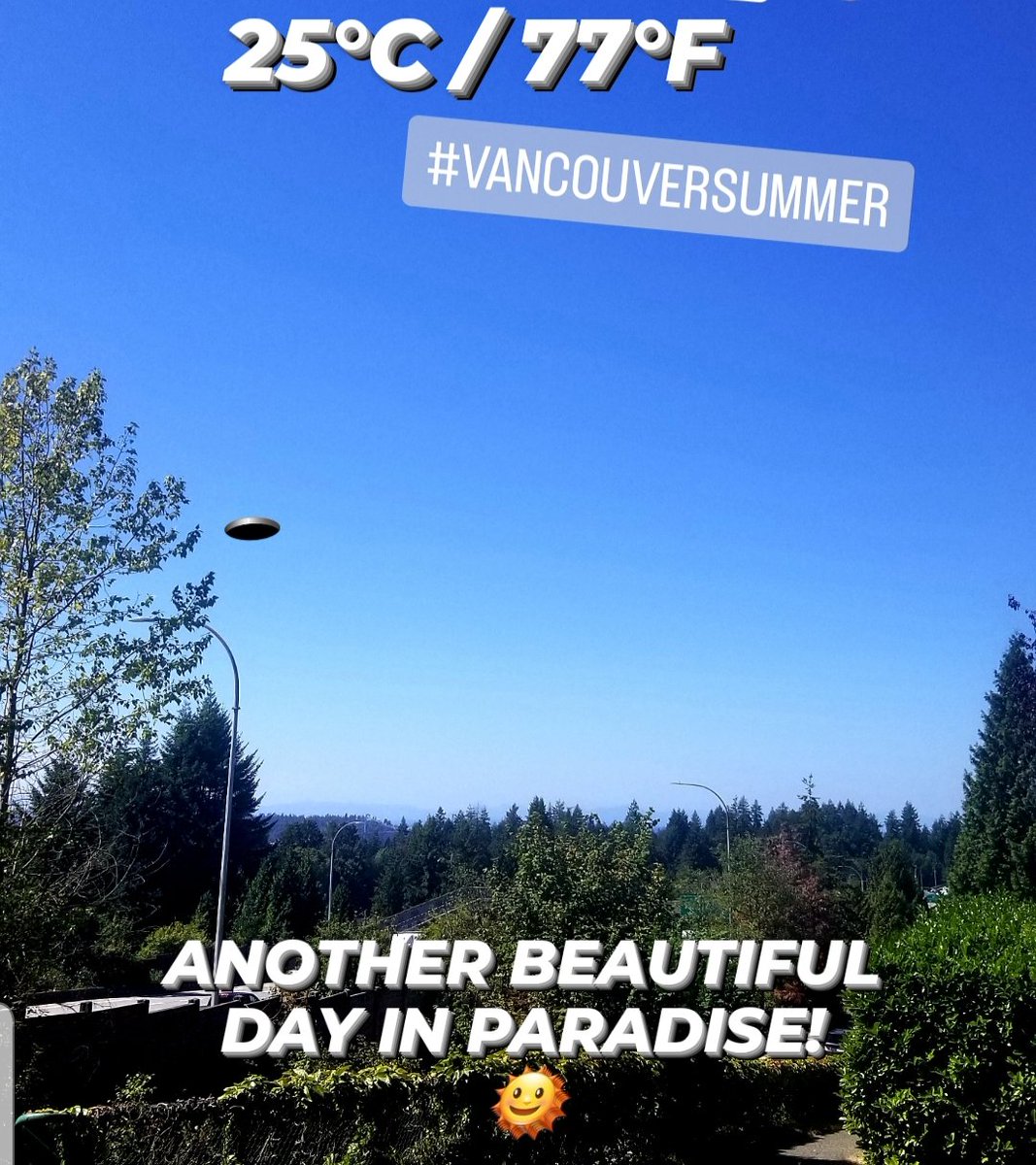 gojomedia1's tweet photo. Looking great today #vancouver! 😁👍 https://t.co/215N4rw632