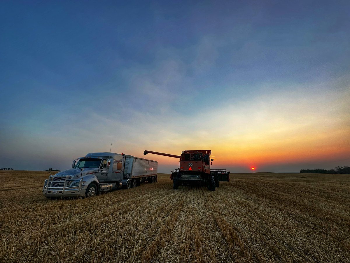 Red combine 

Red sun…
#HarvestSunsets23
#AlbertaBarley🍺