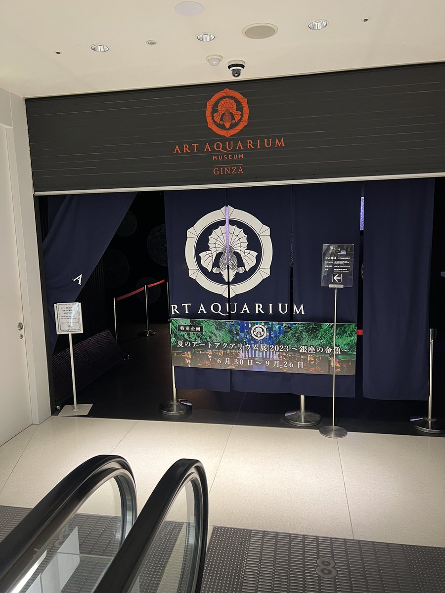 GOD19805577's tweet photo. ART AQUARIUM へ😊 https://t.co/6msSqjxKrC