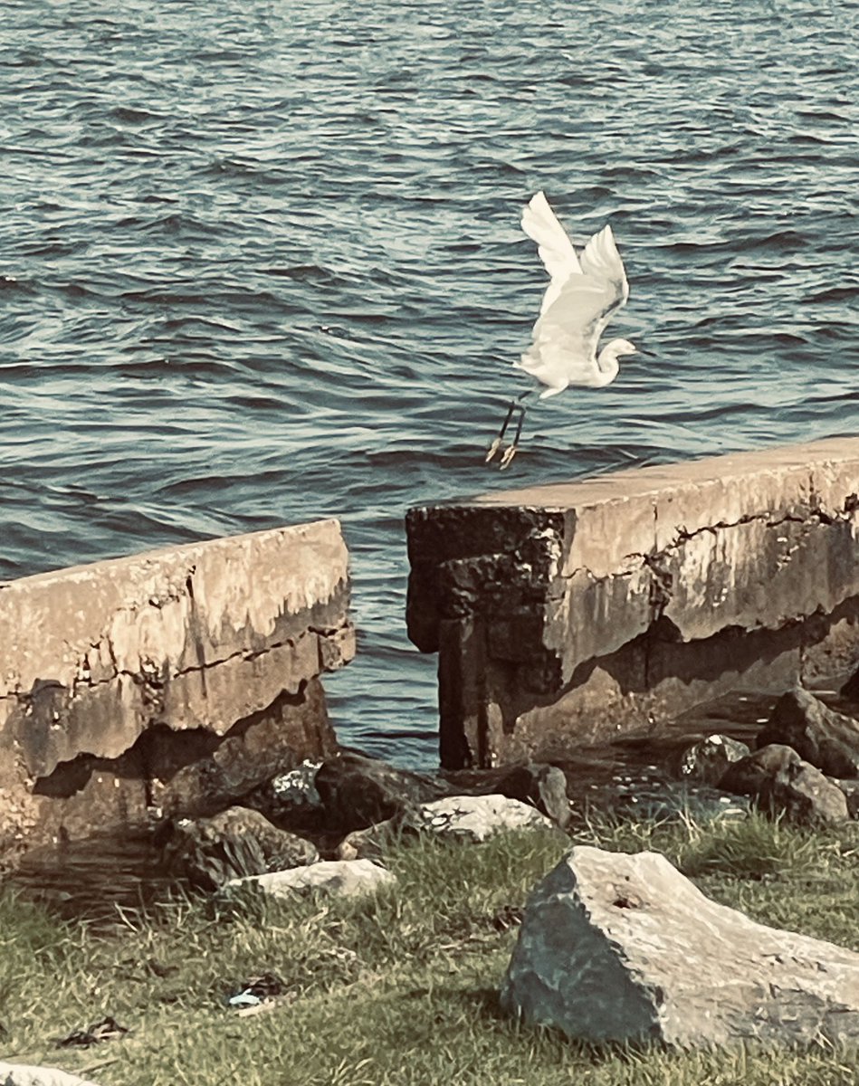 Life’s a Journey, Enjoy the Flight! ✈️