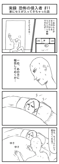 家にセミが入ってきちゃった話 -第11話-
(投稿No.407)
#漫画が読めるハッシュタグ
#4コマ漫画 