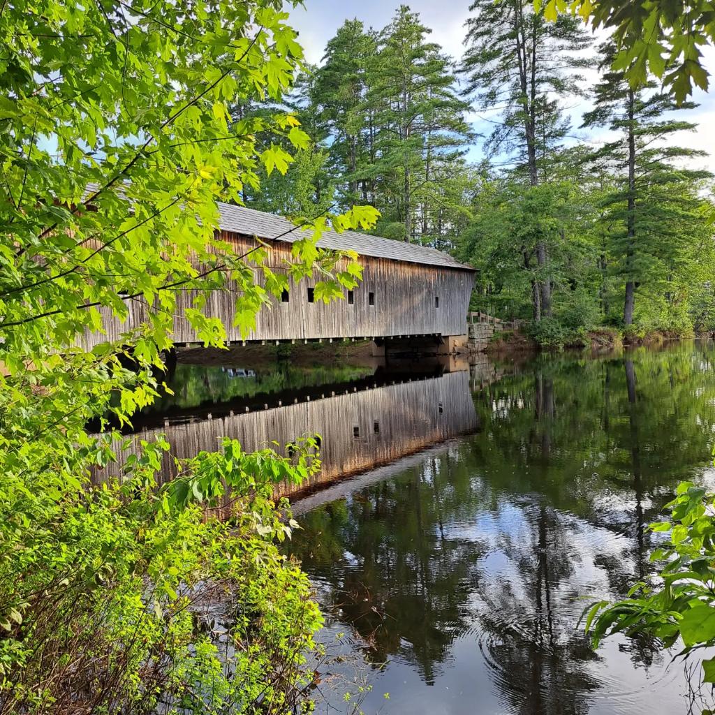 D_C_LeeWrites's tweet photo. It changes
Even while staying the same
Overgrown brush
Doing nothing to detract
From the Stillness
And beauty
#hemlockbridge https://t.co/XkrkTjv2zR