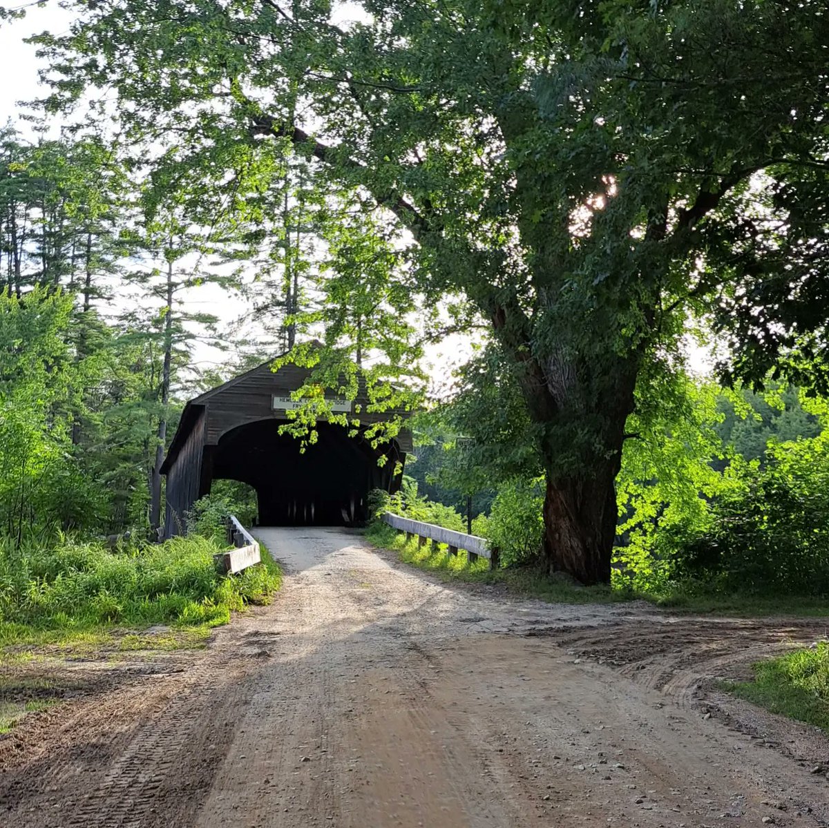 D_C_LeeWrites's tweet photo. It changes
Even while staying the same
Overgrown brush
Doing nothing to detract
From the Stillness
And beauty
#hemlockbridge https://t.co/XkrkTjv2zR