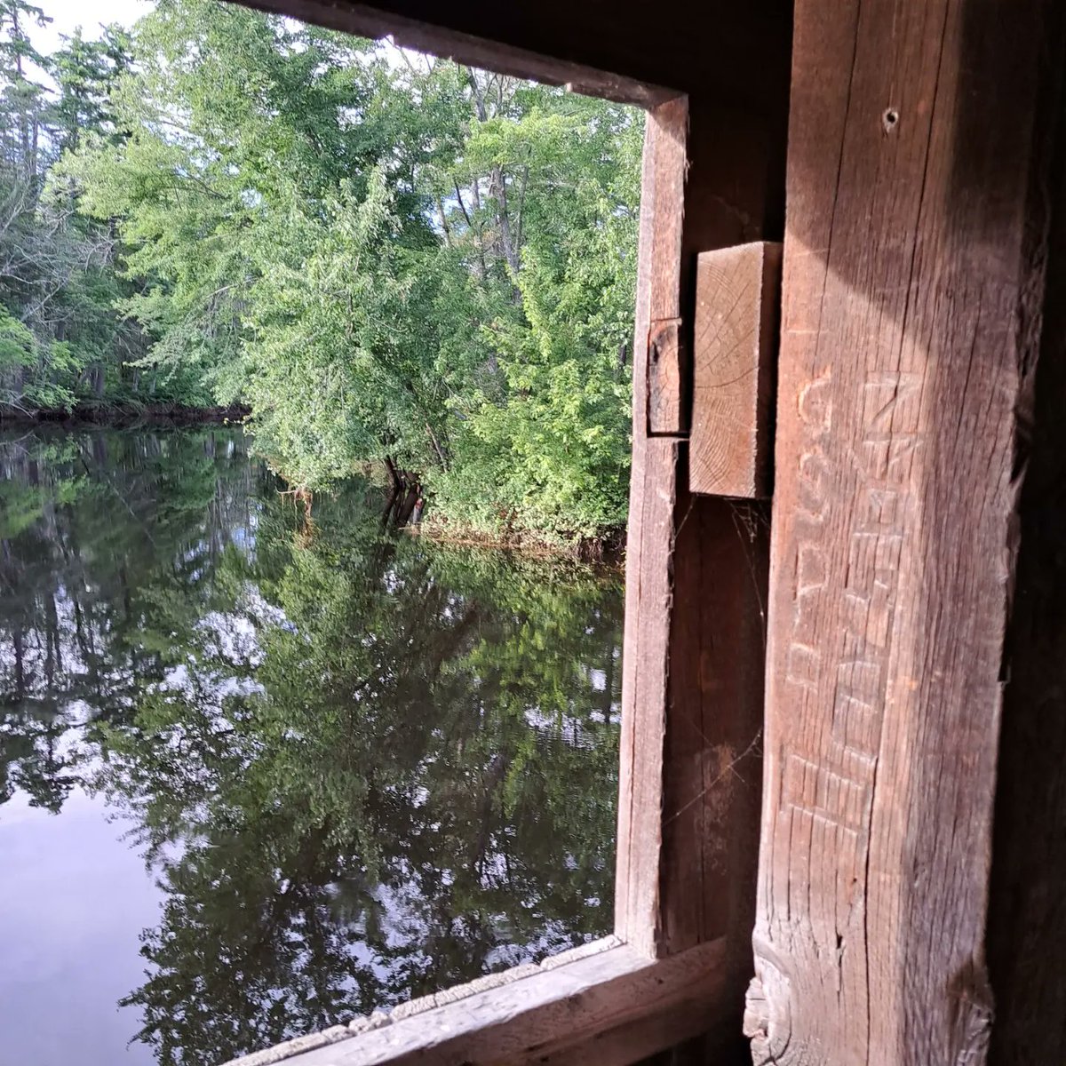 D_C_LeeWrites's tweet photo. It changes
Even while staying the same
Overgrown brush
Doing nothing to detract
From the Stillness
And beauty
#hemlockbridge https://t.co/XkrkTjv2zR