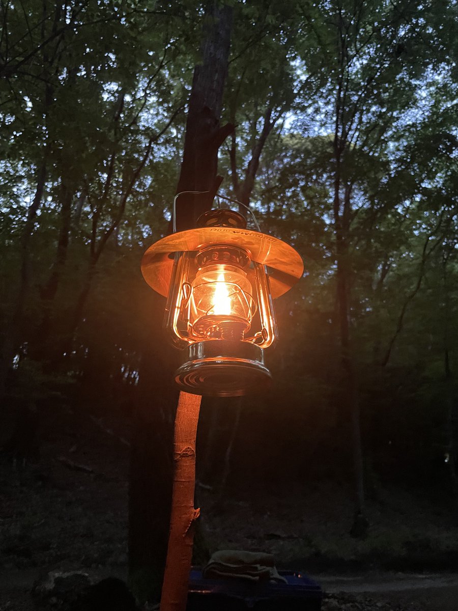 えびちゃん コミ症キャンパー tweet media