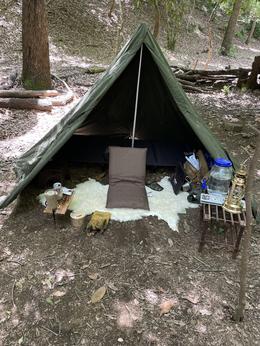 えびちゃん コミ症キャンパー tweet media