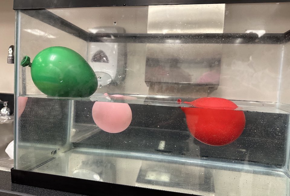 Jennifer Joyner (@mrsjenjoyner) on Twitter photo First Science engage phenomenon of the year-matter <a href="/BernshausenKISD/">Bernshausen Ele.</a> #BetterTogether #3rdgradescience <a href="/KleinISDscience/">Klein ISD Science</a> First Science engage phenomenon of the year-matter <a href="/BernshausenKISD/">Bernshausen Ele.</a> #BetterTogether #3rdgradescience <a href="/KleinISDscience/">Klein ISD Science</a>