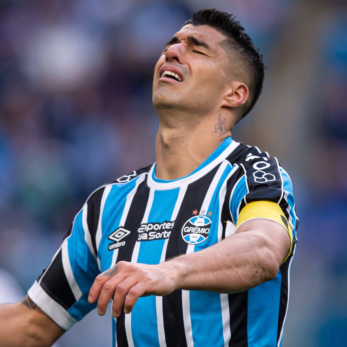 SofascoreBR's tweet image. 🔎 Luis Suárez é o jogador da Série A com mais chances claras perdidas (14) em torneios nacionais em 2023. 

⚔️ 23 jogos
⚽️ 6 gols
🅰️ 7 assistências
👟 101 chutes totais (42 no gol)
🎯 42% pontaria no chute
✅ 18% conversão de chances claras (3/17)
💯 Nota Sofascore 7.19