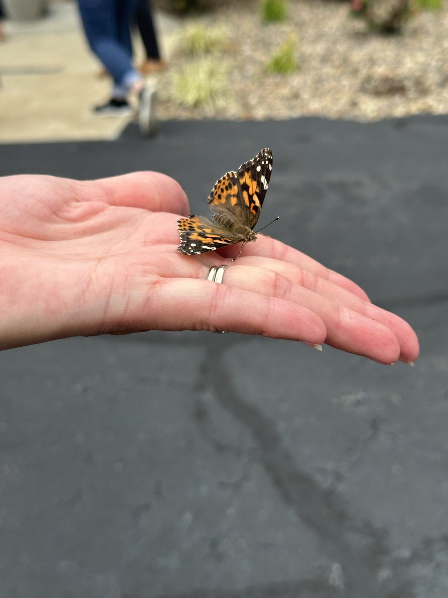 DrRHolbrook's tweet photo. Our School on FIRE 🔥 Day Two was a “Surprise &amp; Delight” as we had a 🦋 release to end the day after going through Stanford’s Design Thinking Framework and incorporating empathy interviews and building prototypes!!!#WeAreKEDC @BuddyBerry @KEDC1 @KEDCCRRSADL #KYDL #DrivingChange https://t.co/fmq1y0TDy1
