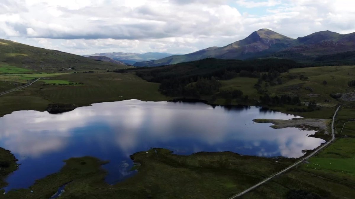 jamie little ⭐️⭐️⭐️⭐️⭐️⭐️ tweet media