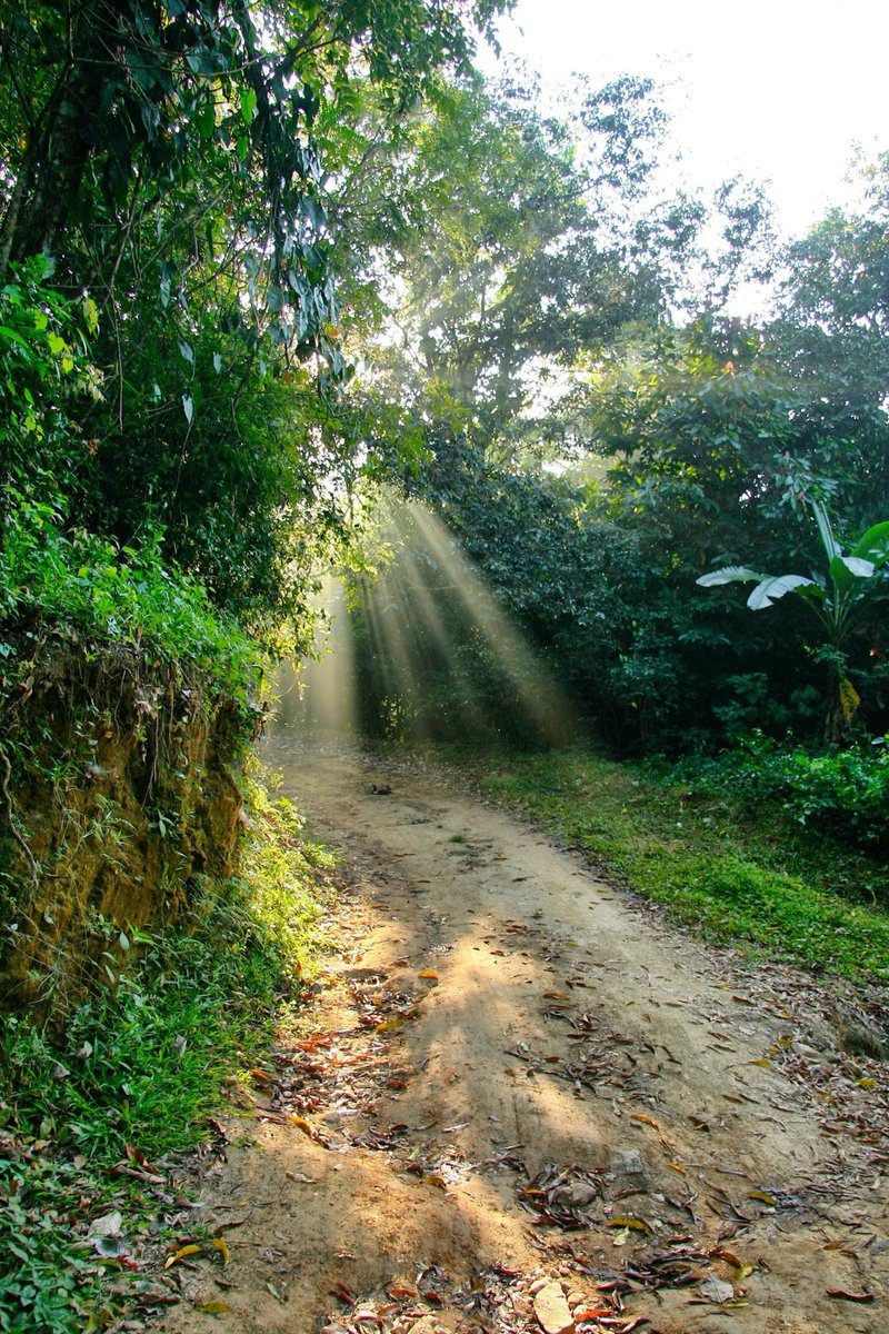 hh_staff's tweet photo. "If light is in your heart, you will find your way home." -Rumi https://t.co/H2NDbW69vV