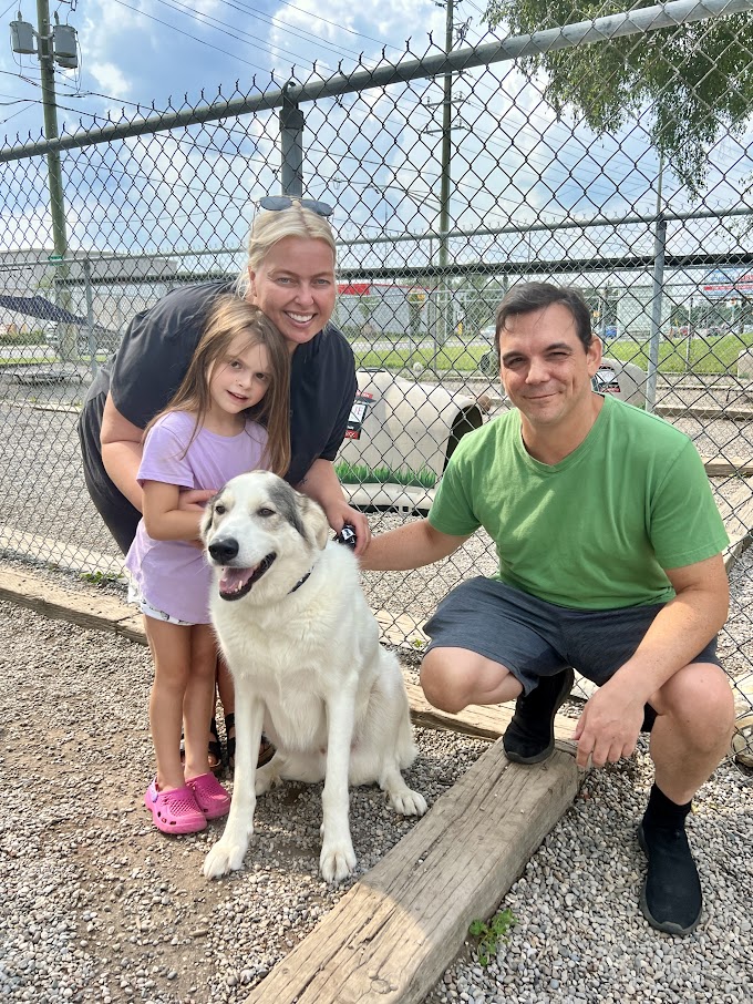 Humane Society London & Middlesex tweet media