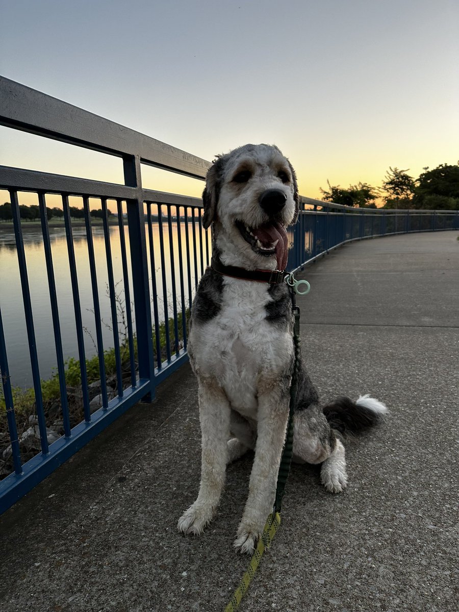 The best boy