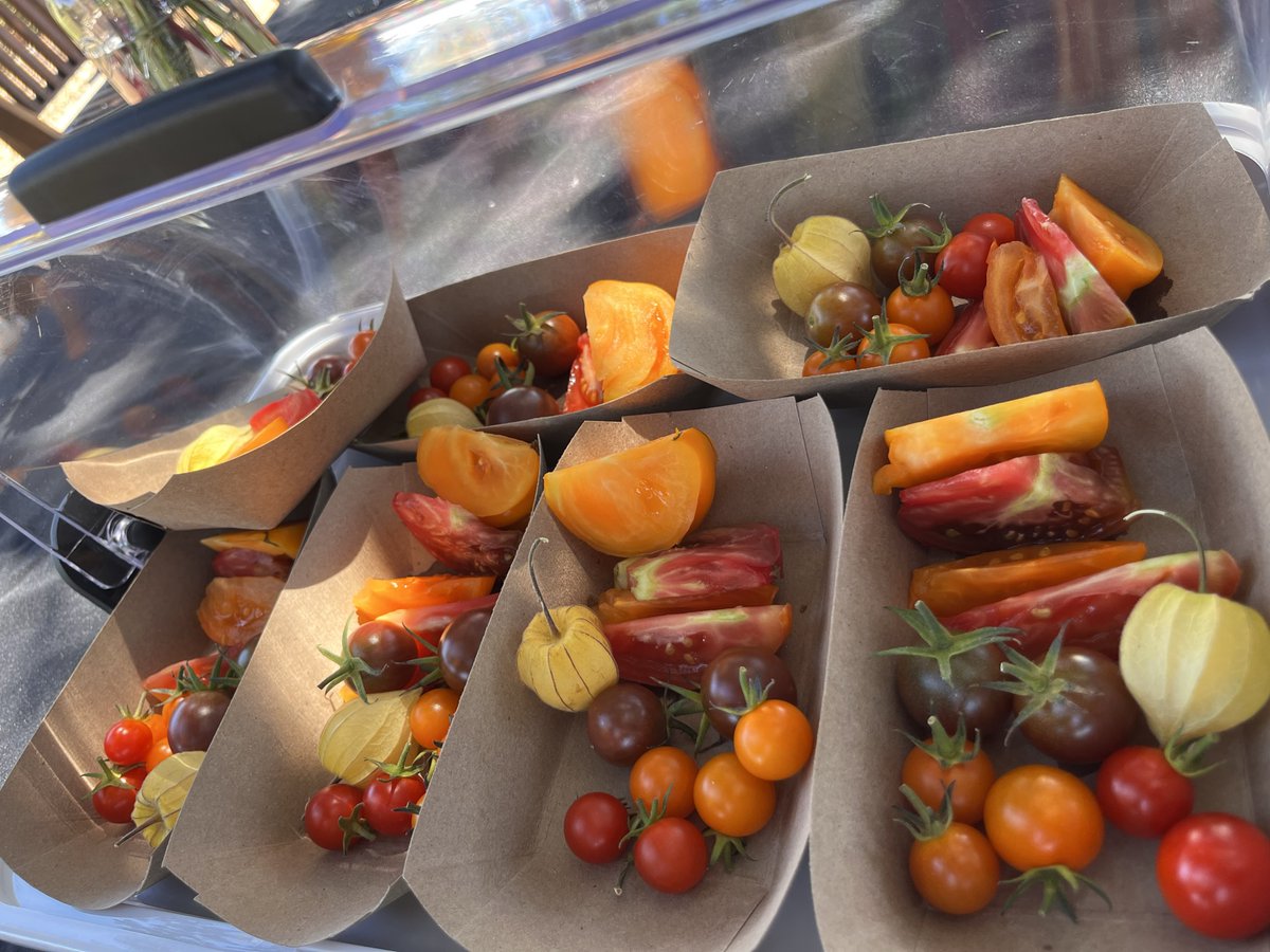 The <a href="/StanfordDeptMed/">Stanford Department of Medicine</a> Chair's Office Team visited the Stanford Educational Farm <a href="/stanforddoerr/">Stanford Doerr School of Sustainability</a>  #StanfordFarm today and made unique flower arrangements and tasted many different kinds of tomatoes. Fun, tasty and so relaxing! Thanks to a #WeAreWickedAwesome team!