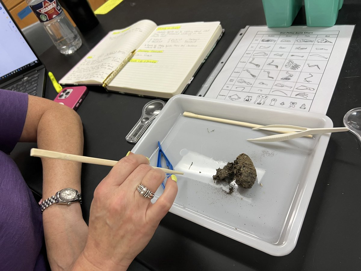 casco_linda's tweet image. Loved our day of learning @CFISDScience PD! 🔍 Thank you @Mrs_KHughes for the wonderful ideas on How to Think like a Scientist! 👩‍🔬@MsConnor4th #BringTheMagic