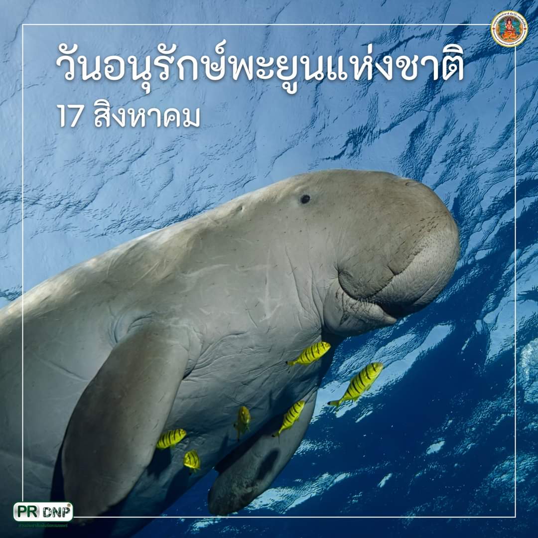𝙁𝙤𝙧𝙚𝙨𝙩 𝙛𝙤𝙧 𝙒𝙞𝙡𝙙𝙡𝙞𝙛𝙚 tweet media