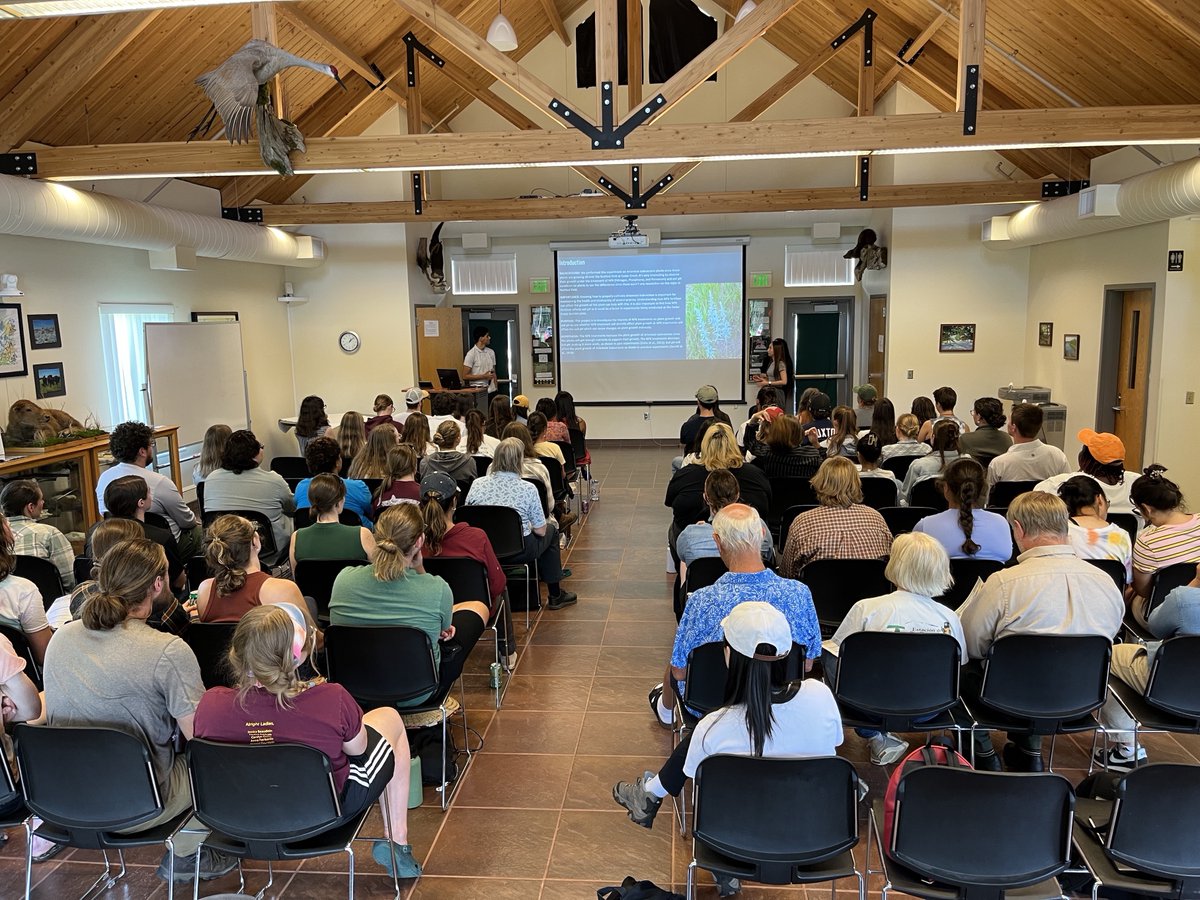 CedarCreekESR's tweet image. Fantastic research presentations from @CedarCreekESR #undergrad interns &amp;amp; #NSFREU's including an outdoor poster session &amp;amp; some homegrown music @umncbs @USLTER