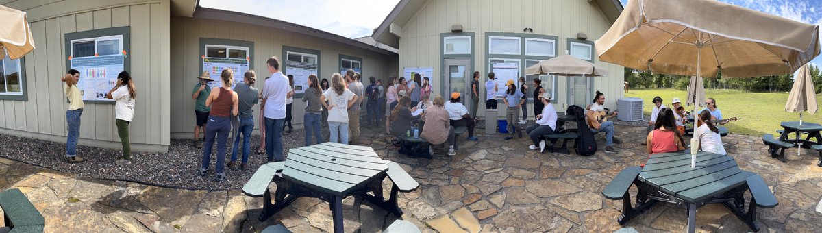 CedarCreekESR's tweet image. Fantastic research presentations from @CedarCreekESR #undergrad interns &amp;amp; #NSFREU's including an outdoor poster session &amp;amp; some homegrown music @umncbs @USLTER