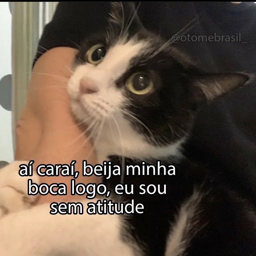 odeiootaco's tweet photo. sou assim 👇 https://t.co/DXoDulCBED
