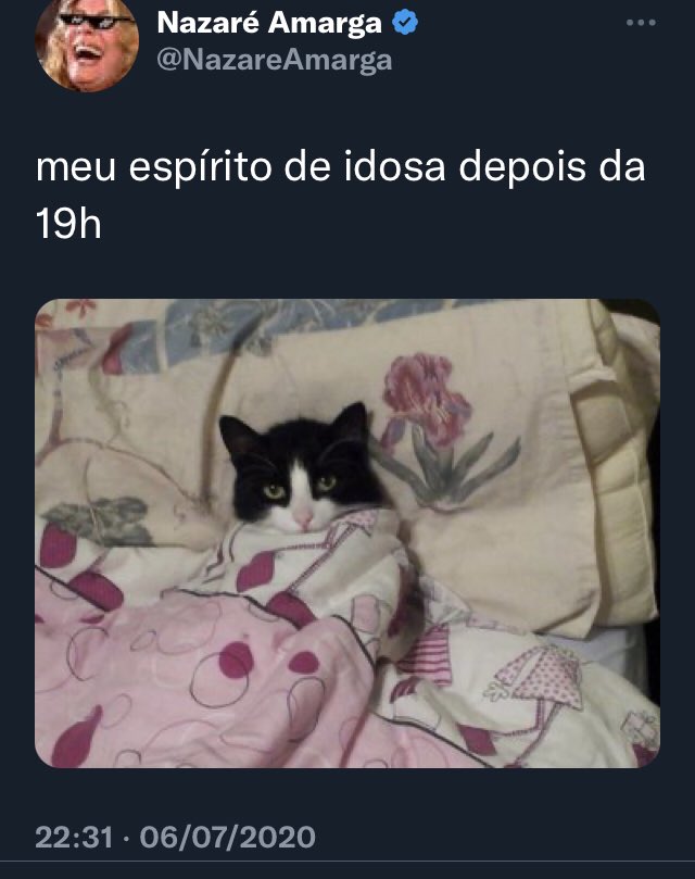 maria_igarapé tweet media