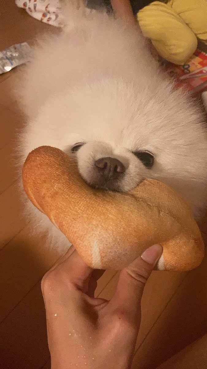 朝はパン