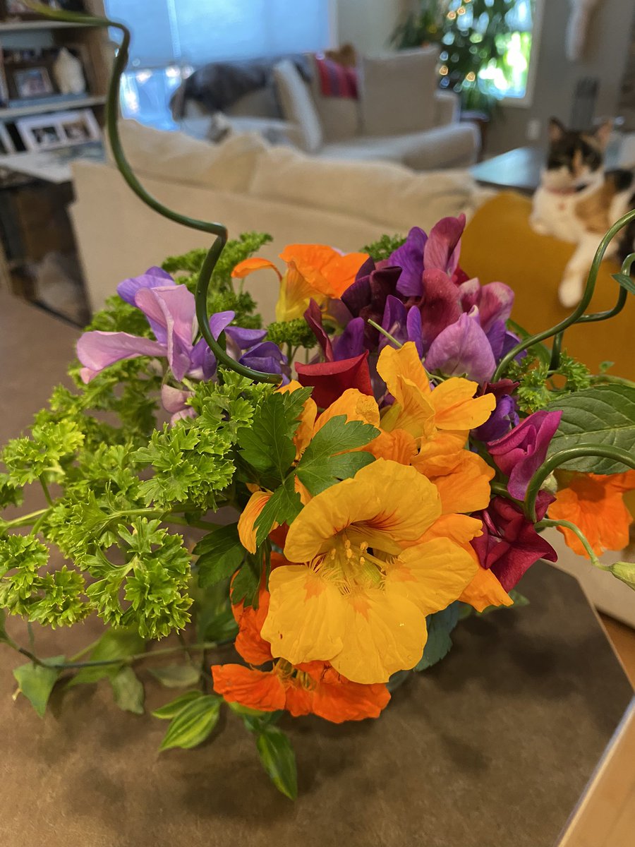 MommyMermaid_'s tweet photo. Sweet peas, nasturtiums, and other garden delights. @sweetpeasociety https://t.co/476gLUJGRQ