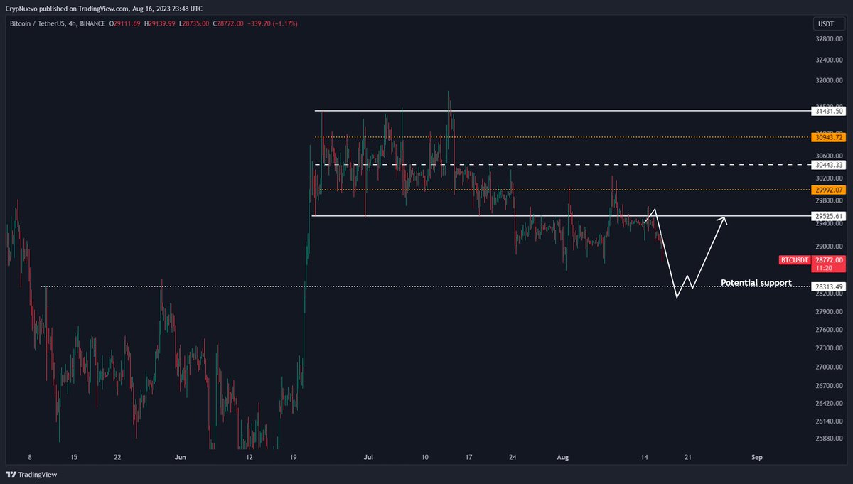 CrypNuevo 🔨 tweet media