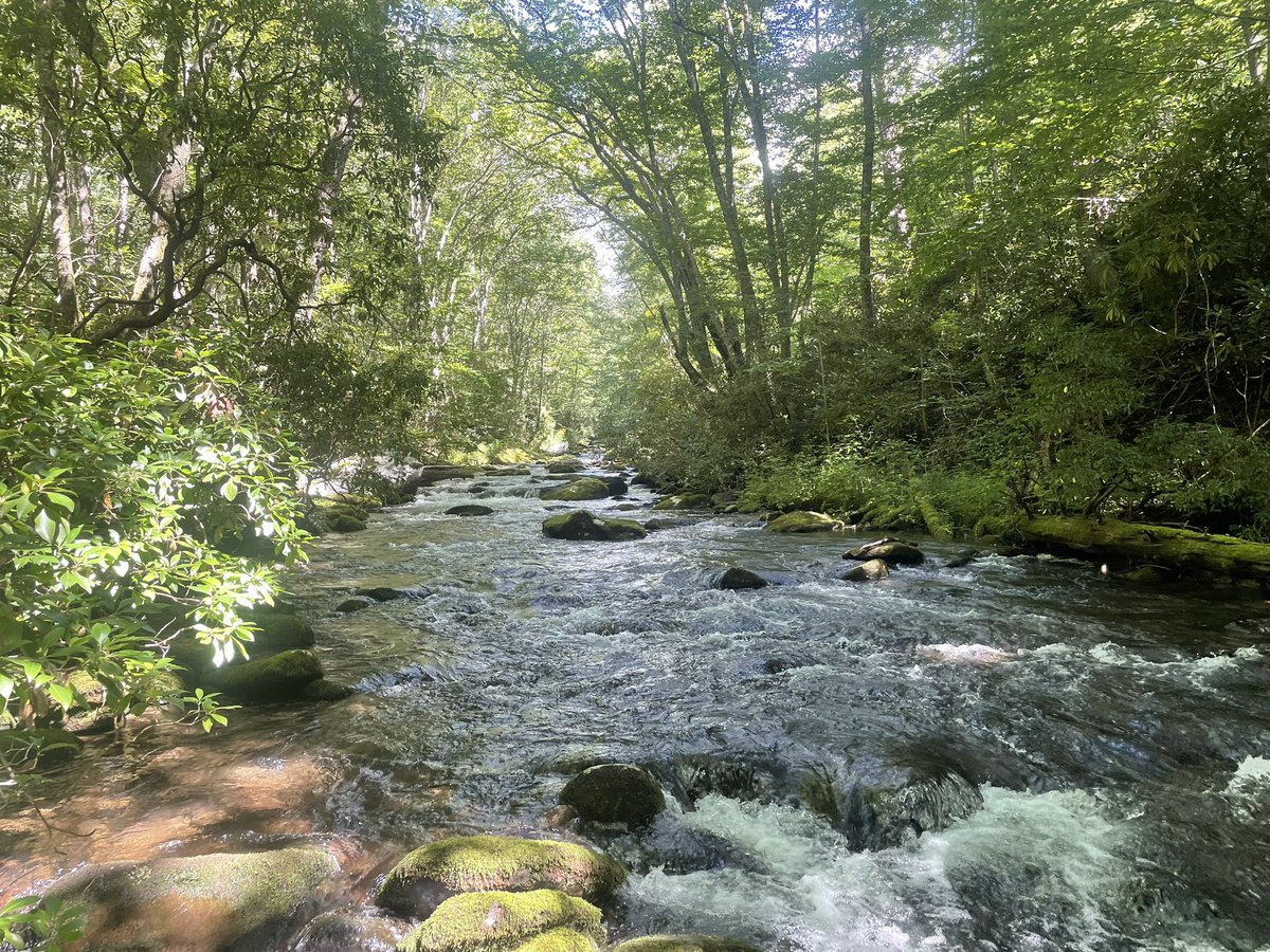 Cataloochee Valley…Love the sights, sounds, history and… yeah, the fishing.