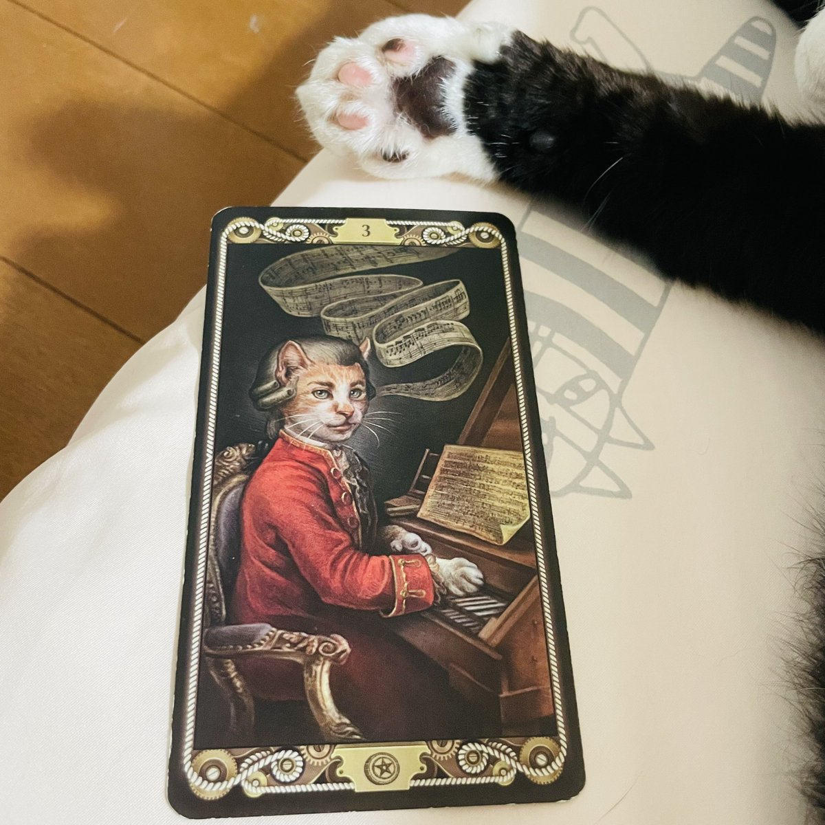 oraclerinko's tweet image. 8/17お披露目の日🤗これまで取り組んできたことが認められる日。周りに注目され評価をもらえます✨あなたのスキルを生かすチャンスです💫今の自分の実力を信じて引き続き技能を磨きましょう✊ #3ofPENTACLES #おててお披露目するﾆｬ #タロット #猫