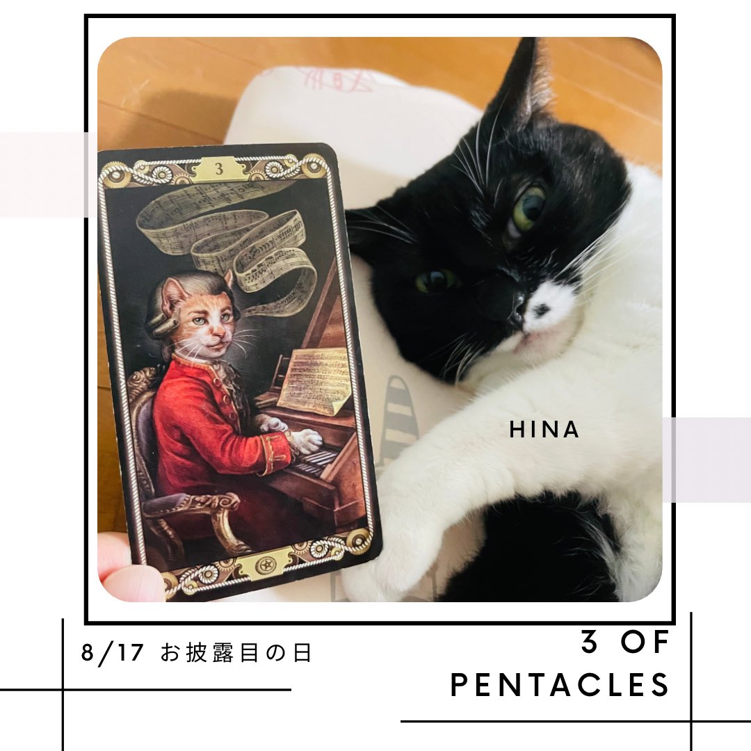 oraclerinko's tweet image. 8/17お披露目の日🤗これまで取り組んできたことが認められる日。周りに注目され評価をもらえます✨あなたのスキルを生かすチャンスです💫今の自分の実力を信じて引き続き技能を磨きましょう✊ #3ofPENTACLES #おててお披露目するﾆｬ #タロット #猫