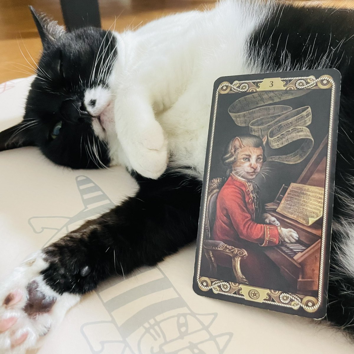 oraclerinko's tweet image. 8/17お披露目の日🤗これまで取り組んできたことが認められる日。周りに注目され評価をもらえます✨あなたのスキルを生かすチャンスです💫今の自分の実力を信じて引き続き技能を磨きましょう✊ #3ofPENTACLES #おててお披露目するﾆｬ #タロット #猫