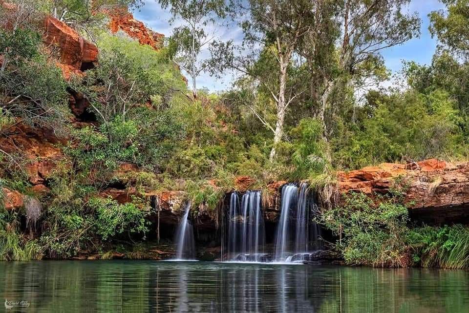 Fern Pool, Karajini 😊 @AustTraveller <a href="/WAParksWildlife/">Parks and Wildlife Service, Western Australia</a> <a href="/WestAustralia/">Western Australia</a> <a href="/KarijiniRetreat/">Karijini Eco Retreat</a>