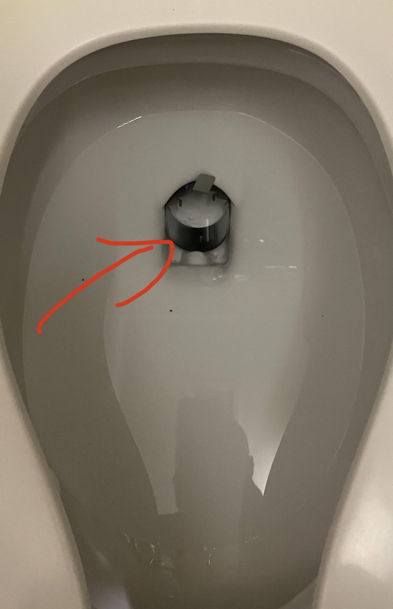 ElectronicEnzo's tweet photo. Chipotle for dinner vs toilet with built in poo poo chopper. Let’s go!!! https://t.co/kdySsDxxe9