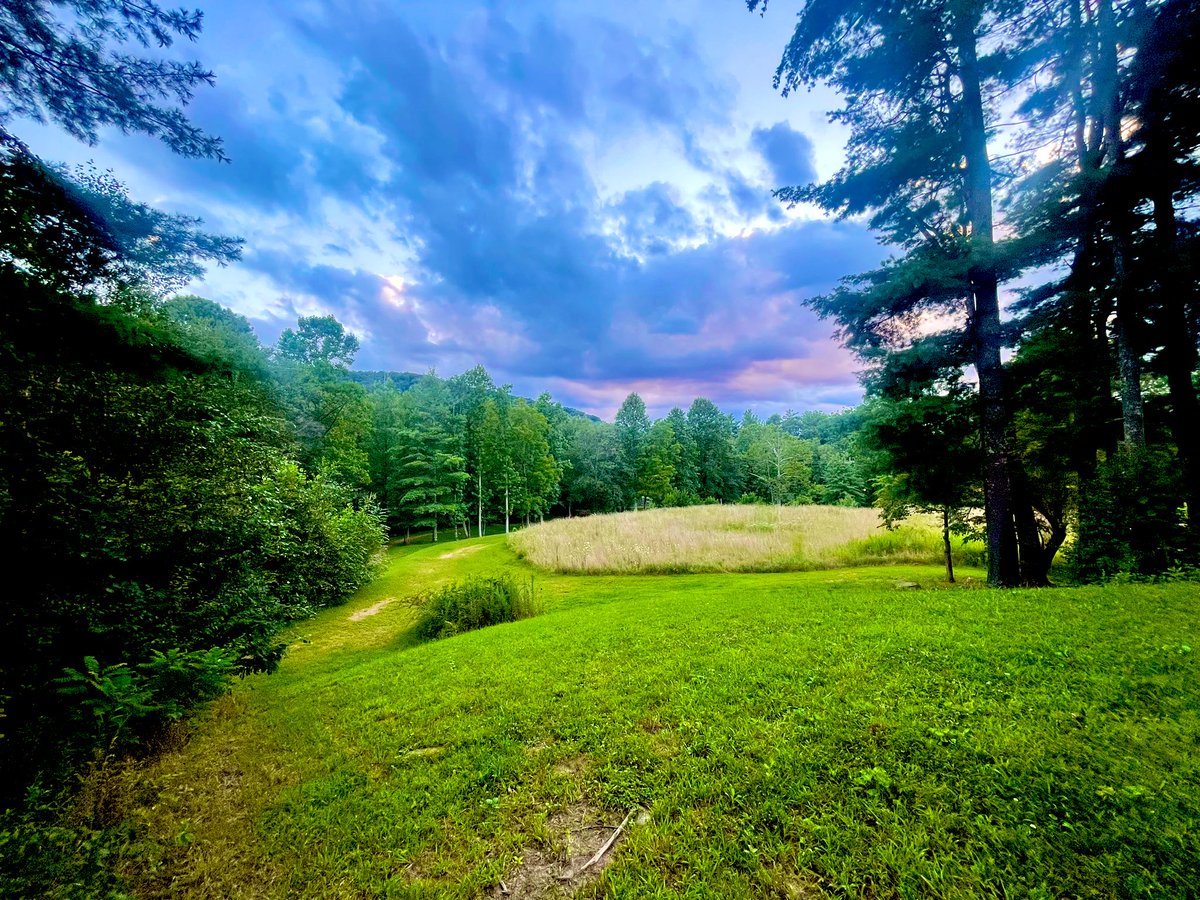 Just Vibing With Nature 🐸

This Solves All My Problems 🍃