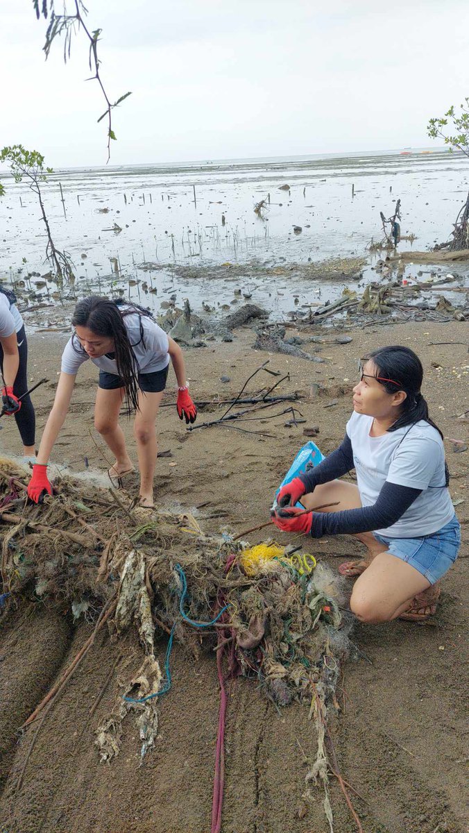 ElmaColiao's tweet photo. Mangrove clean up
Click our post here:
https://t.co/XEIdgfRCcr
Beach collective https://t.co/QEXMFOvMIZ