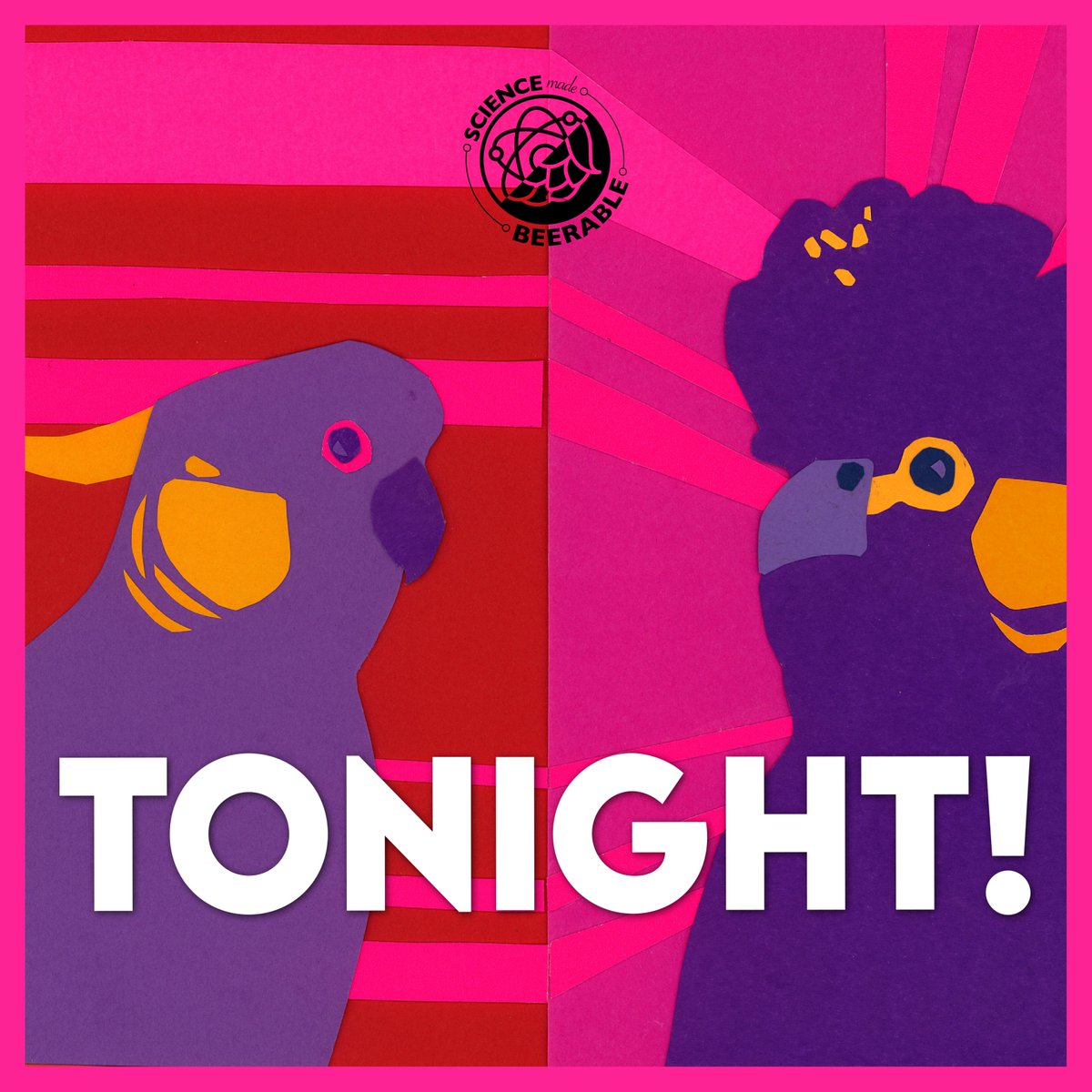 BeerableScience's tweet image. Happy ExBEERimental Science Day! 🧪🍻

Join us from 7 PM tonight as we explore the science of #beer! 

Find the live stream here: linktr.ee/beerablescience 

SEE YOU ALL TONIGHT!

@Aus_ScienceWeek  #scienceweek #craftbeer  #brewscience #brewingscience #beerscience