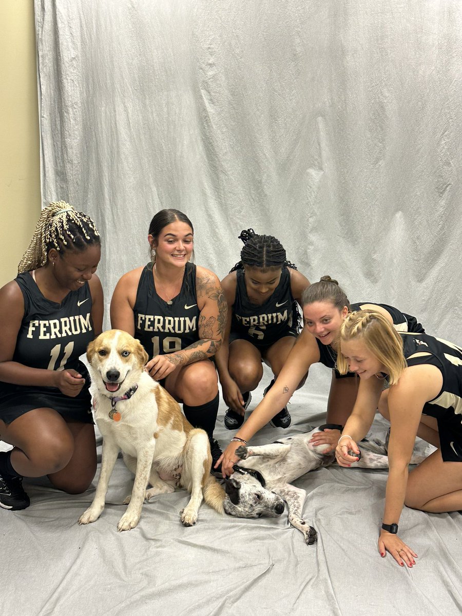 Ferrum Field Hockey tweet media