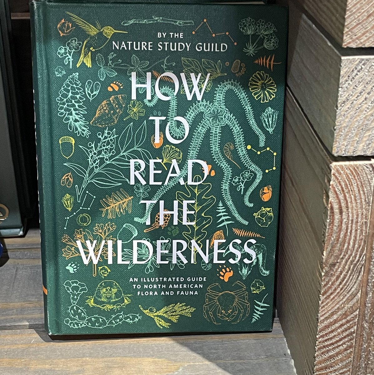 What in the Lottie Matthews book shelf is this?