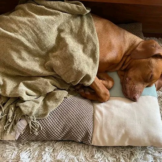 <a href="/GabrielArm63487/">Gabriel Armstrong</a>