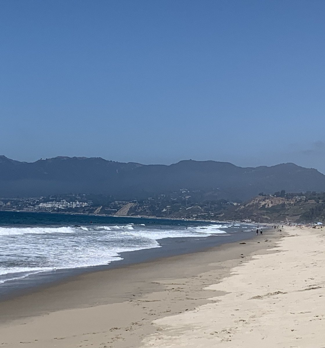 patty_clouds's tweet photo. Morning run plovers and midday #beachrun #oceanswim #oceanrun https://t.co/kWkm2rp2jM