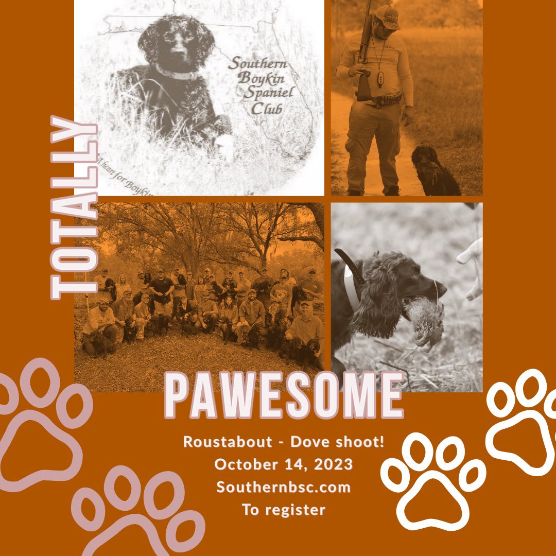 SoBoykinSpaniel's tweet photo. Save the date! 

Our Tenth annual Funday Roustabout and Dove Shoot‼️

Registration will open soon on our website https://t.co/eS17t2NDox. https://t.co/rHiAob3hhz