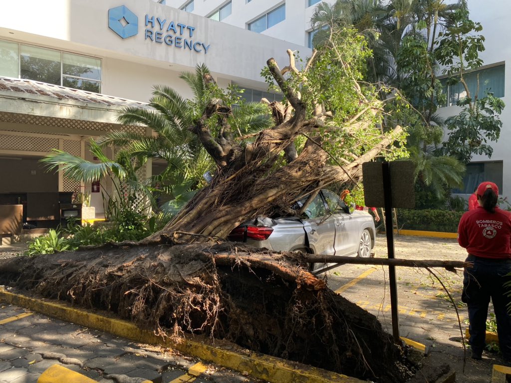MedMetabolica's tweet photo. El día 25 de junio del 2023 en las instalaciones del estacionamiento del Hotel Hyatt Regency Villahermosa durante un evento le cae un árbol a mi camioneta RX8 de la marca MG. 
Actualmente no se quieren hacer responsables @hyattregency https://t.co/s7M8SUT8kR