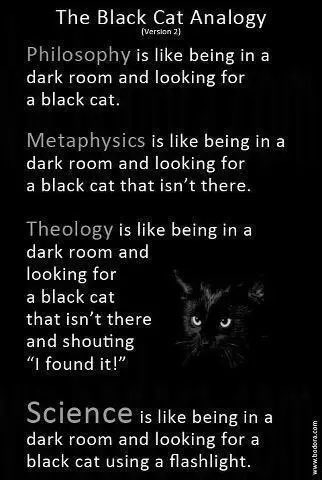 juda1313's tweet image. Black cats are theoretical in dark rooms