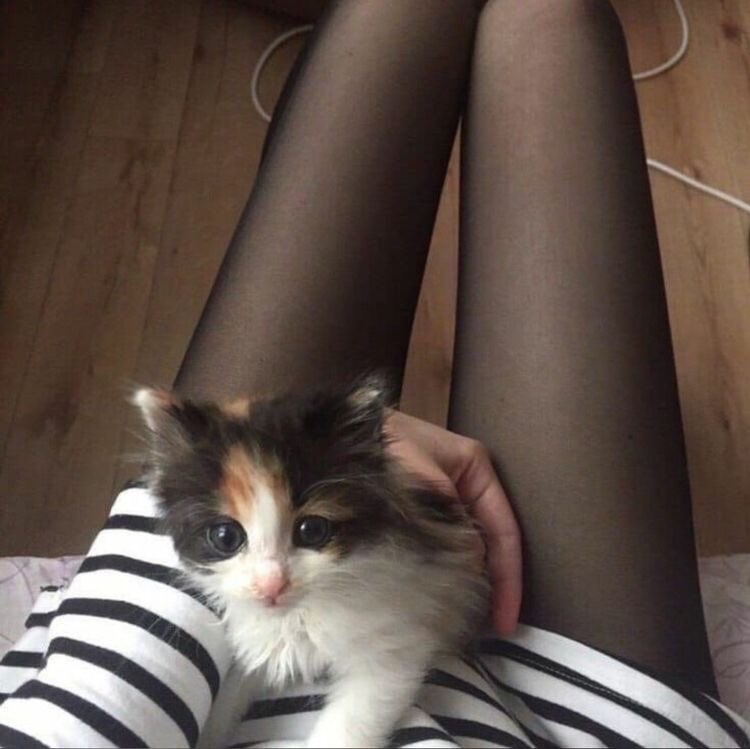 mothsmind's tweet photo. control my day ( a poll for edtwt) 
w/ thinspo

8/17/23 - 11 hours to vote! https://t.co/cS8xaCCxB0