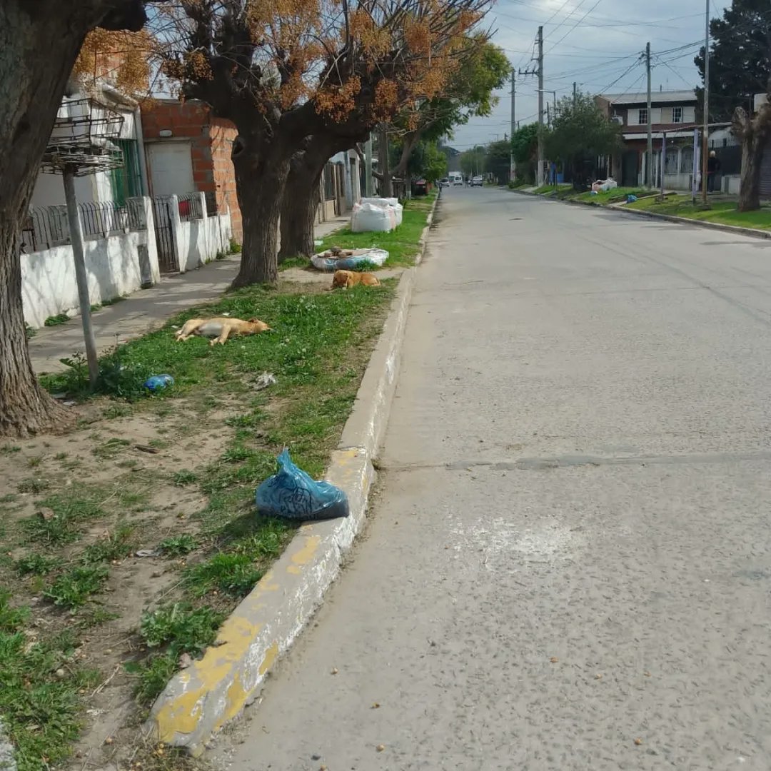 ocho_zona's tweet photo. Con el equipo de la Delegación Municipal estuvimos realizando la limpieza de la calle Bramante 
@jaimemendezh Intendente 
@delatorrej @Hncalvente @hugoreverdito @dlTorrePablo @SabiiiLop @NigroFrancisco @majotedeschi @miguelnietosm @juanesper @Piojomendez https://t.co/ig6Ep8vSII