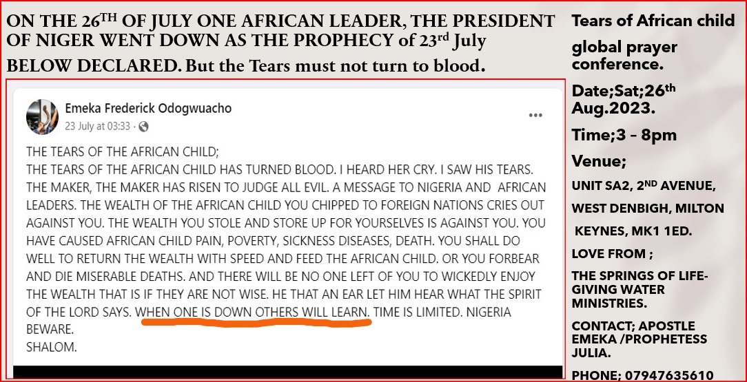 EMEKA  ODOGWUACHO tweet media