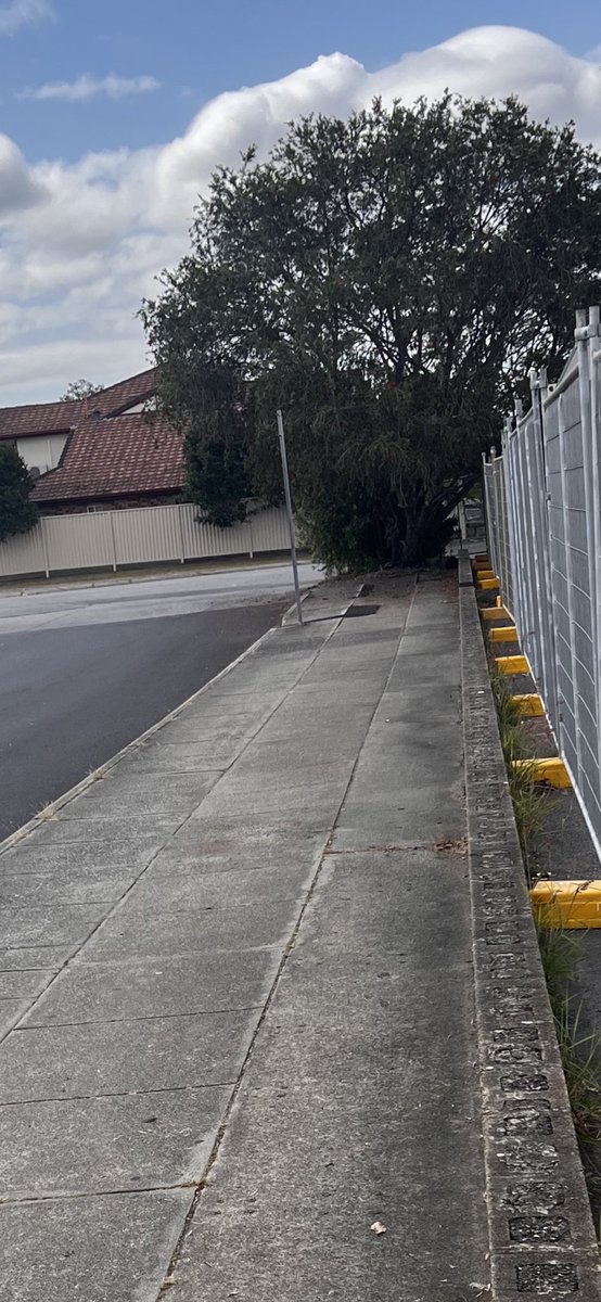 UnwalkableBris1's tweet photo. When your footpath is obstructed for a racing club to build a poker facility on Council land opposite public housing… 
we say “on ya Brisbane”, and that’s no compliment. 
#footpathsofbrisbane #unwalkableBrisbane 
#onyaBrisbane https://t.co/VBYKTtV84e