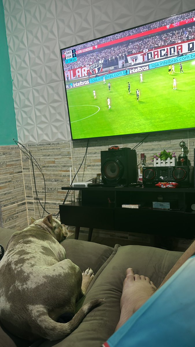 Eu e me dog 🐶🐶 paz vendo o
Jogo